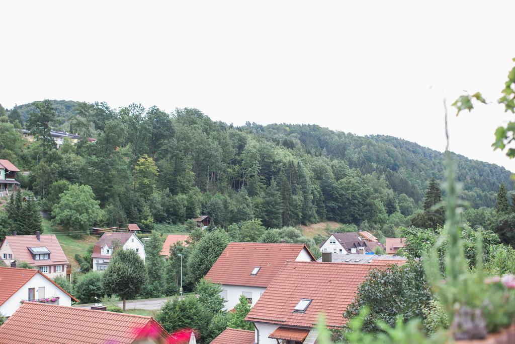 Ferienwohnung Spiegelberg